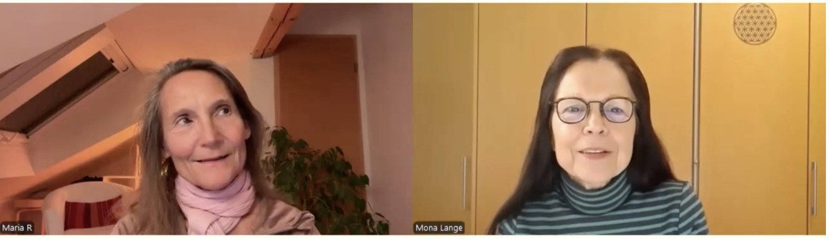 Kongressbanner Herzmatrix-Liebesfeld mit Maria Rappay