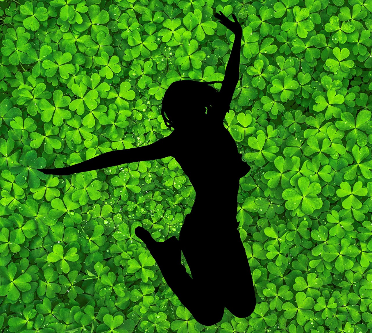 Kongressbanner Herzmatrix-Liebesfeld mit Maria Rappay