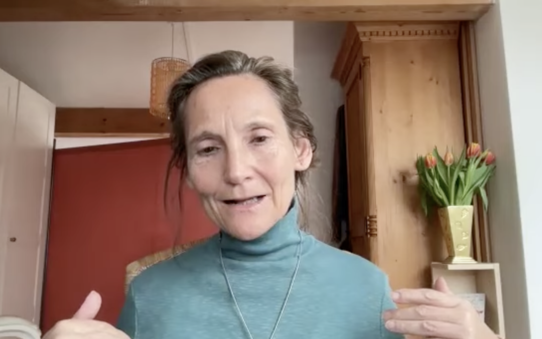 Krisen, Traumaheilung und Transformation